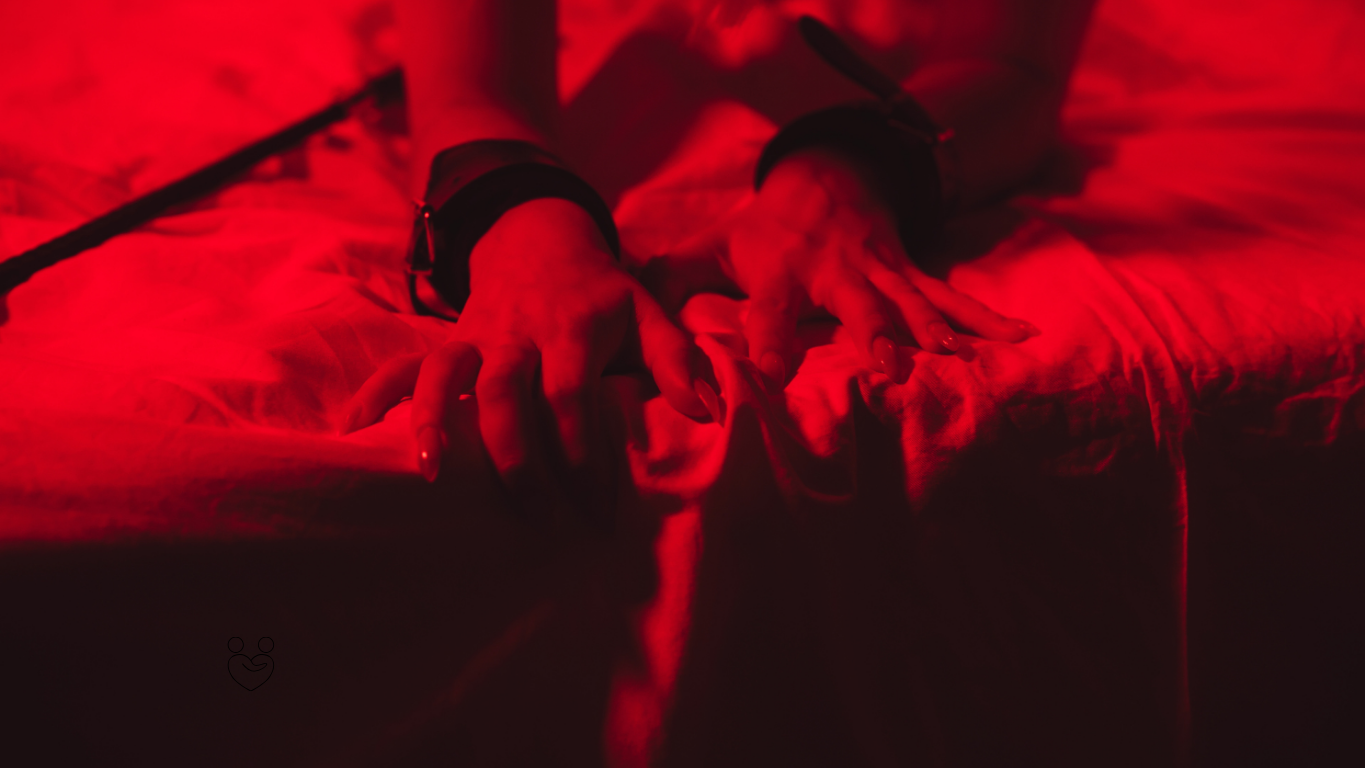 Top Pleasure Essentials Everyone Should Try This Year