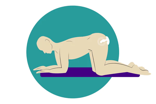 anal sex position doggy style